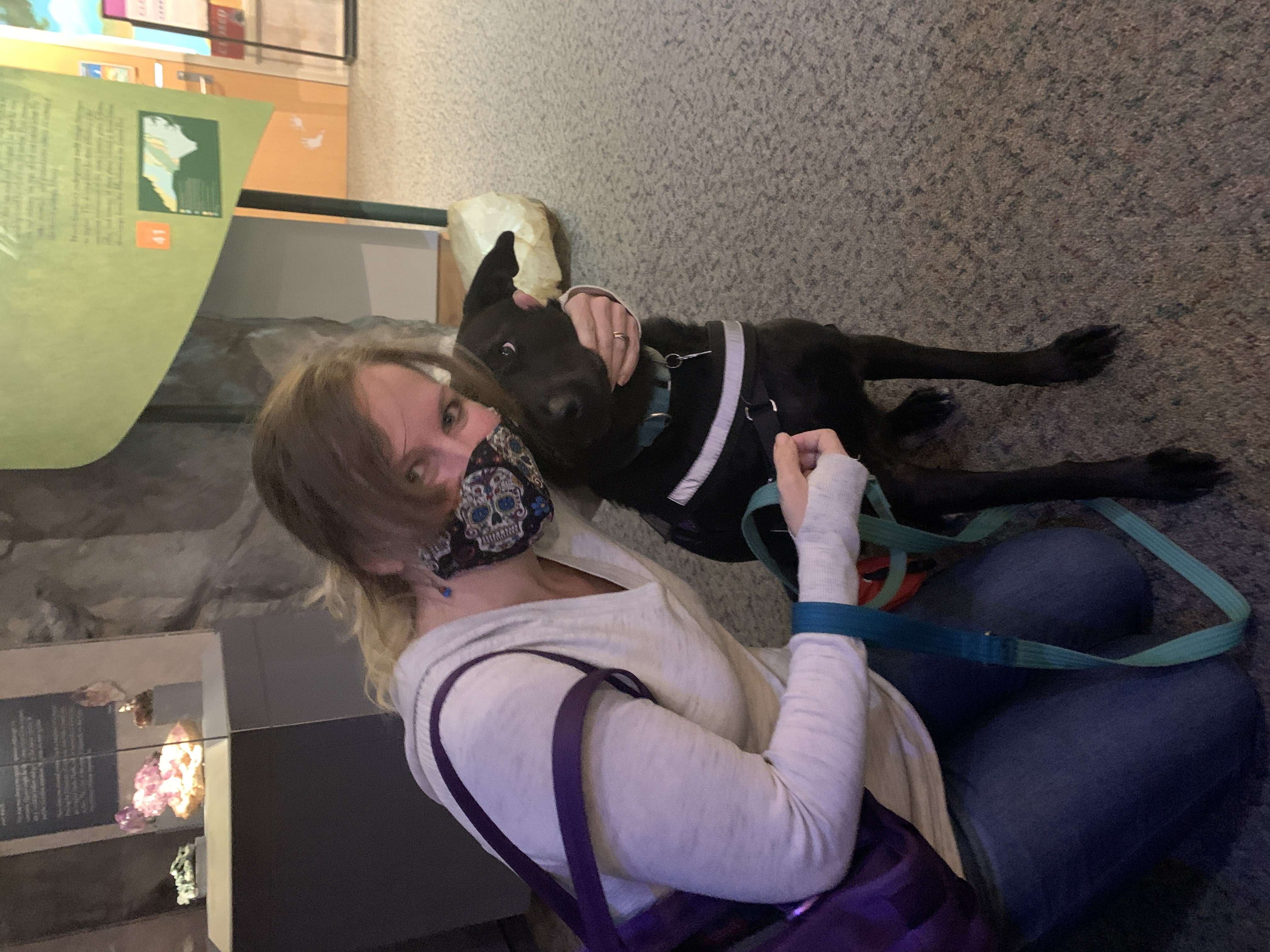Museum Normal